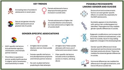 Solving the gender paradox in adolescent suicide: challenges and directions